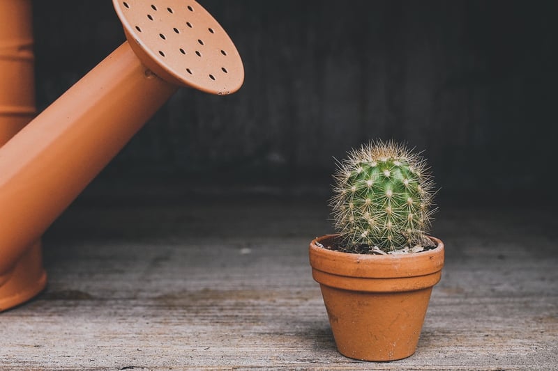 Upcycled Plant Pots